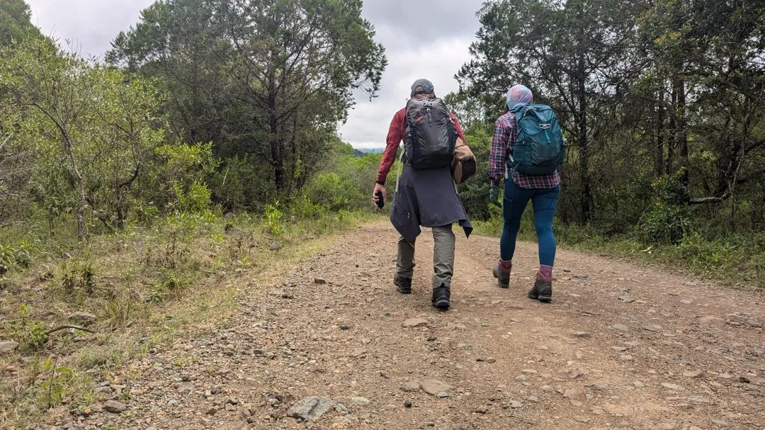 Mount Kilimanjaro trekking landscape